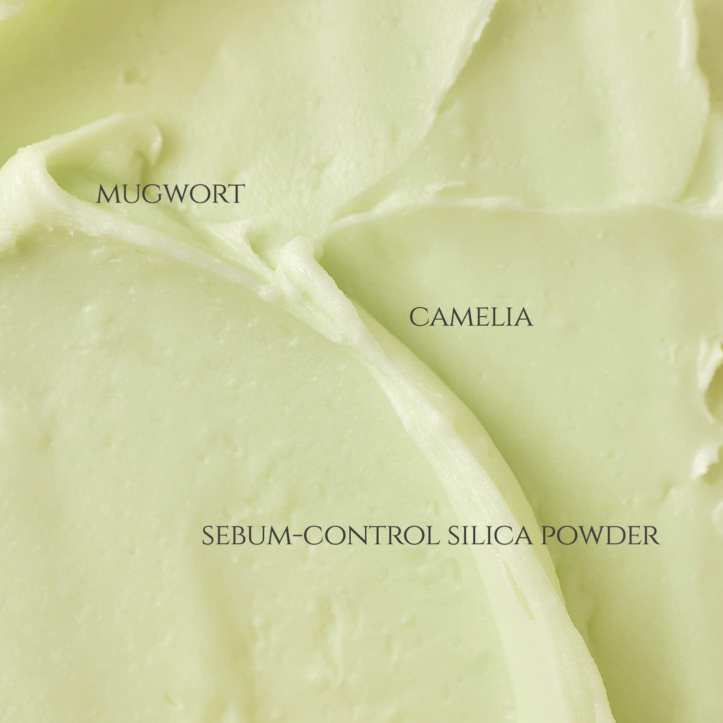 MATTE SUN STICK: MUGWORT + CAMELIA (SPF 50+ PA++++) - BEAUTY OF JOSEON