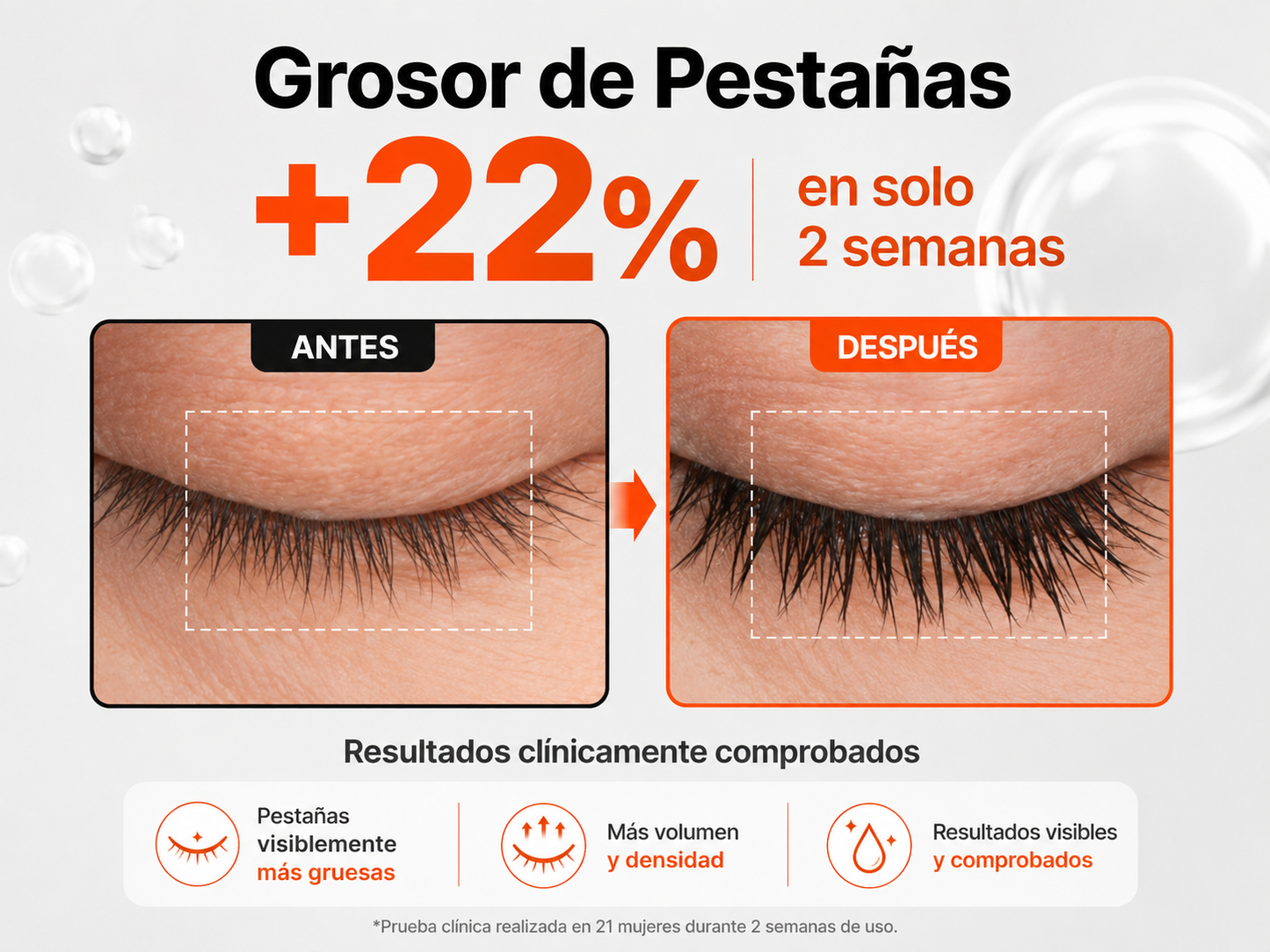 EXOSOME DUAL LASH SERUM - LILYEVE