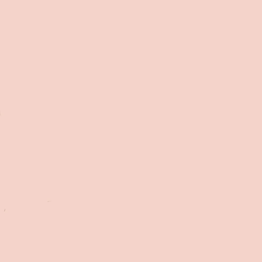 COVERICIOUS ULTIMATE WHITE CUSHION - BANILA CO