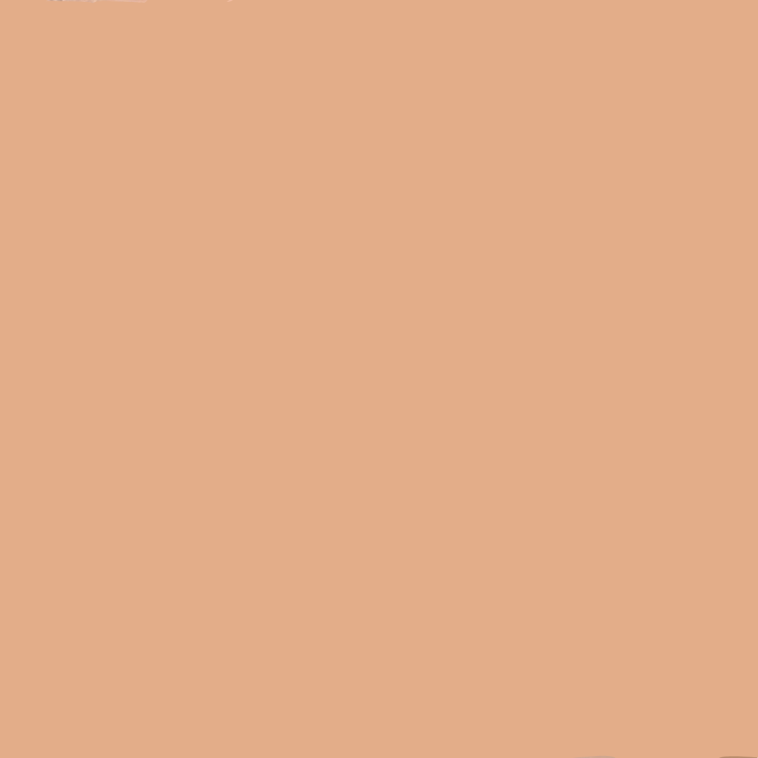 COVERICIOUS ULTIMATE WHITE CUSHION - BANILA CO