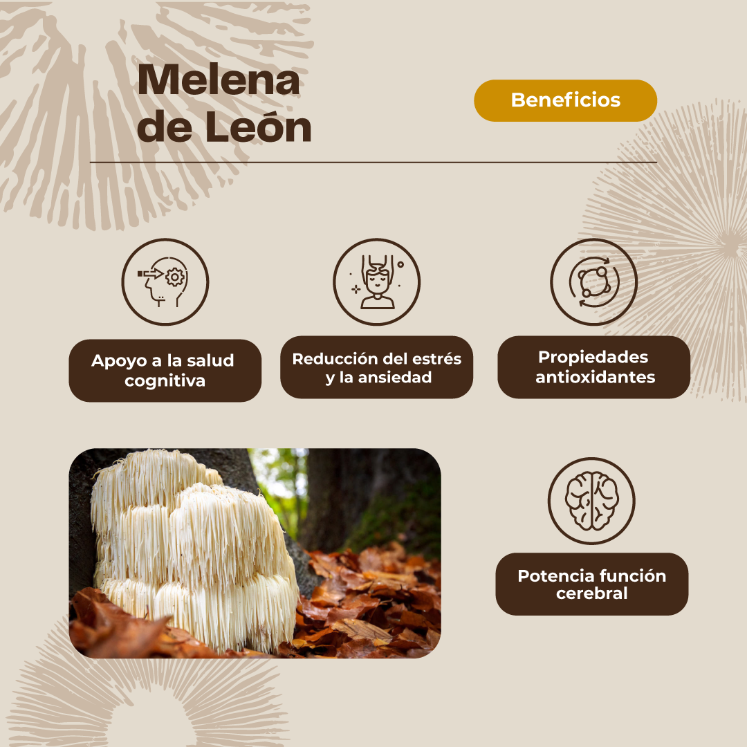 MELENA DE LEON GOMITA X 30 UND VITAENERGY