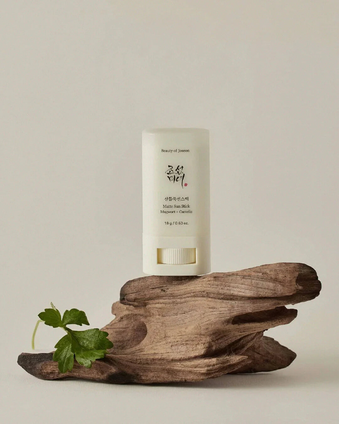 MATTE SUN STICK: MUGWORT + CAMELIA (SPF 50+ PA++++) - BEAUTY OF JOSEON