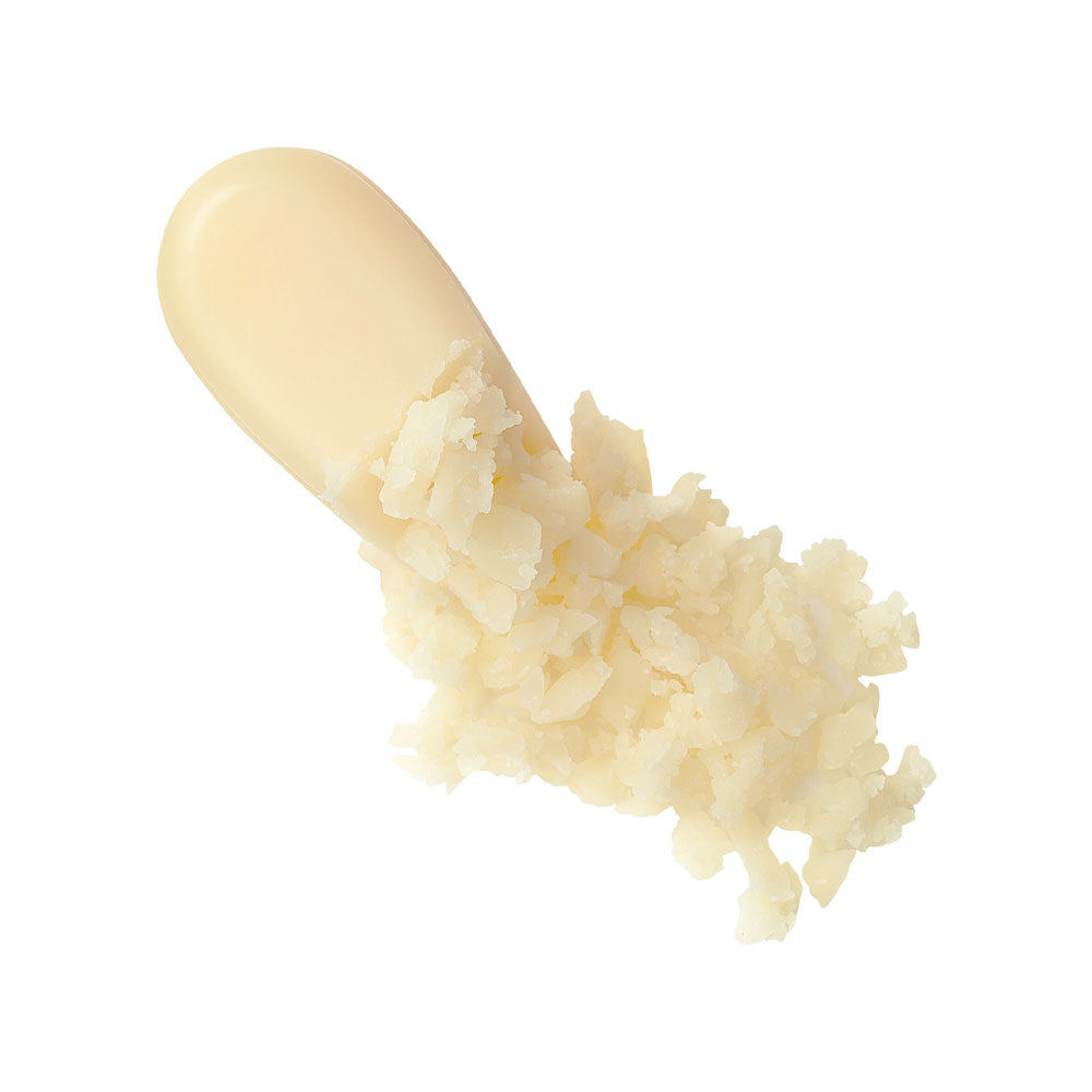 ECO EARTH WATERPROOF SUN STICK - THE SAEM