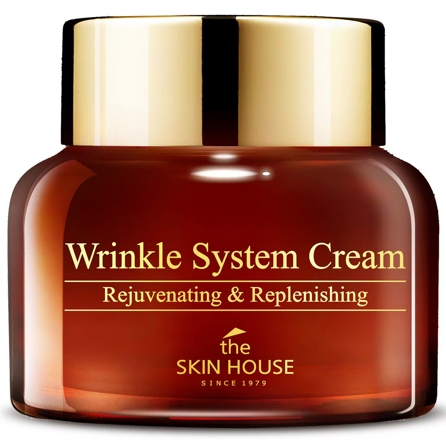 WRINKLE SYSTEM CREAM 50ML - THE SKIN HOUSE