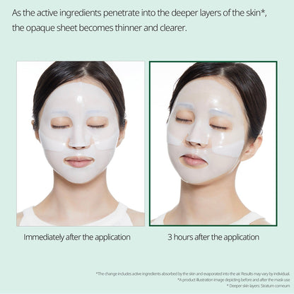 PRO CICA REEDLE SHOT 100 2STEP MASK - VT