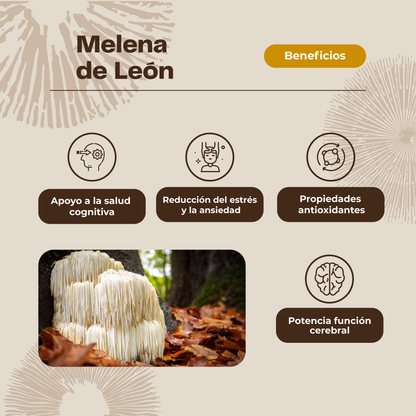 MELENA DE LEON GOMITA X 30 UND VITAENERGY